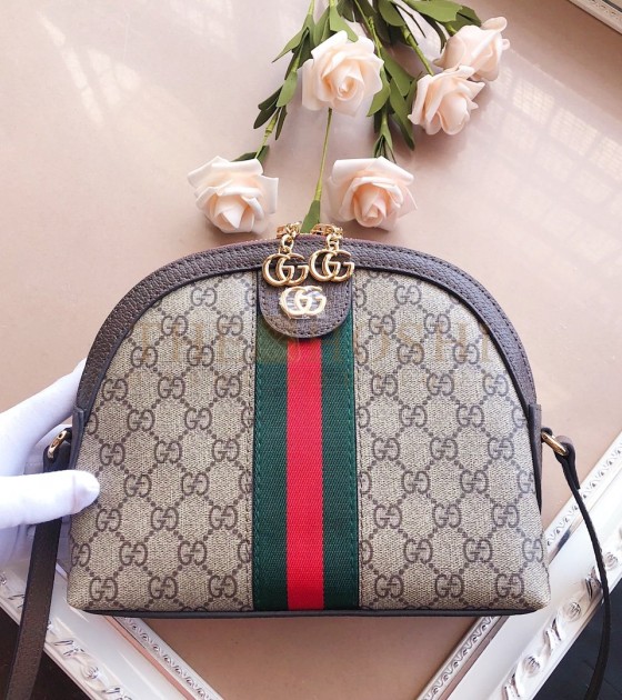 Gvc*1 Ophidia Small Crossbody Bag Canvas Brown Leather 23.5*8*19cm Master Quality