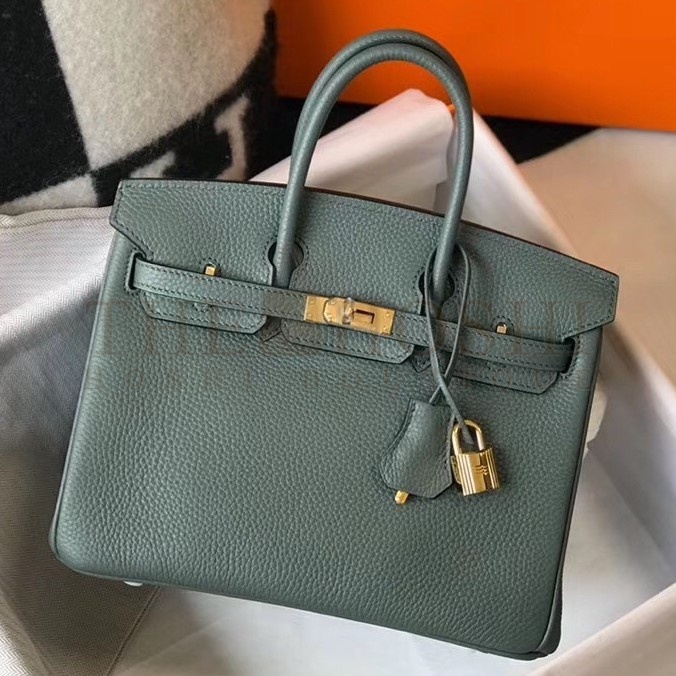 H**me5 Birkin 25 Bag In Vert Amande Clemence Leather with GHW Master Quality