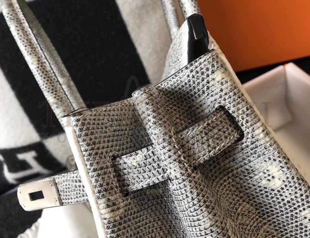H**me5 Birkin 30cm Bag In Ombre Embossed Natural Lizard Master Quality