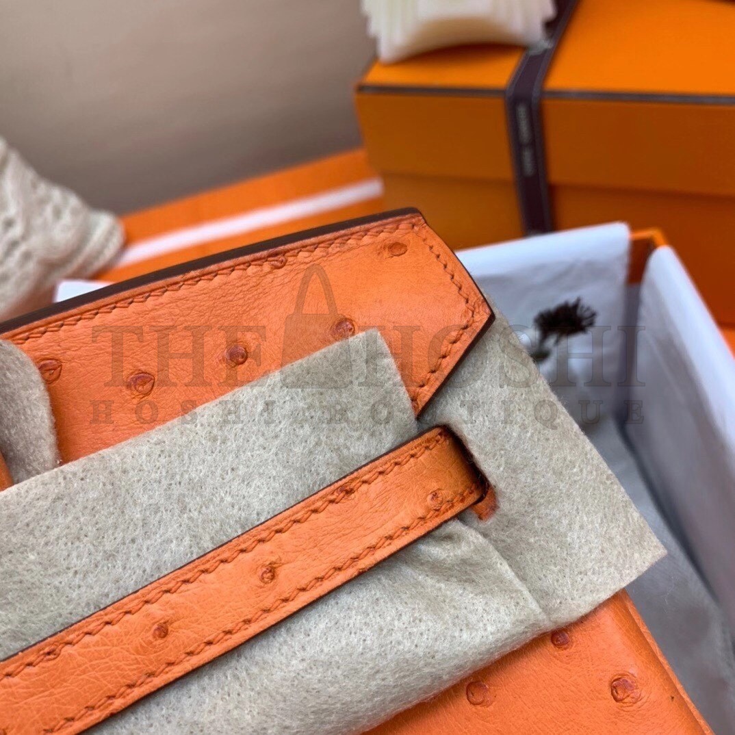 H**me5 Orange Birkin 25cm Ostrich Handmade Bag Master Quality