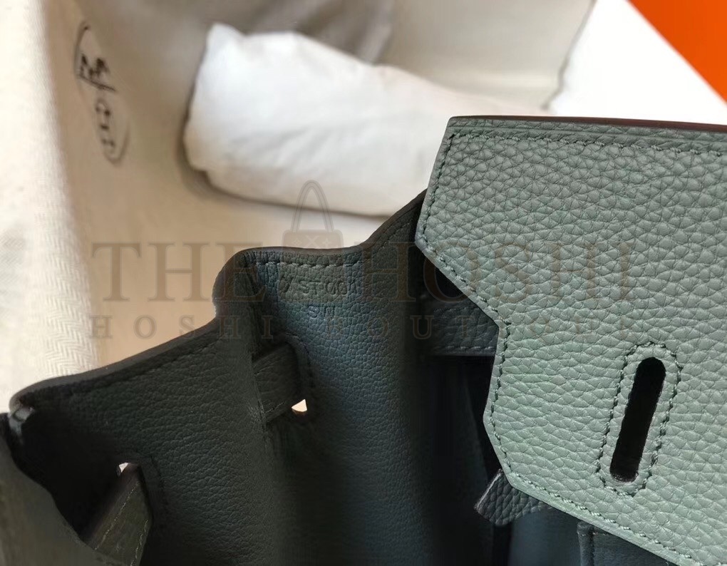 H**me5 Vert Amande Clemence Birkin 30cm Bag GHW Master Quality