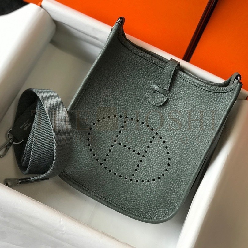 H**me5 Evelyne III Mini Bag In Vert Amande Clemence Leather Master Quality