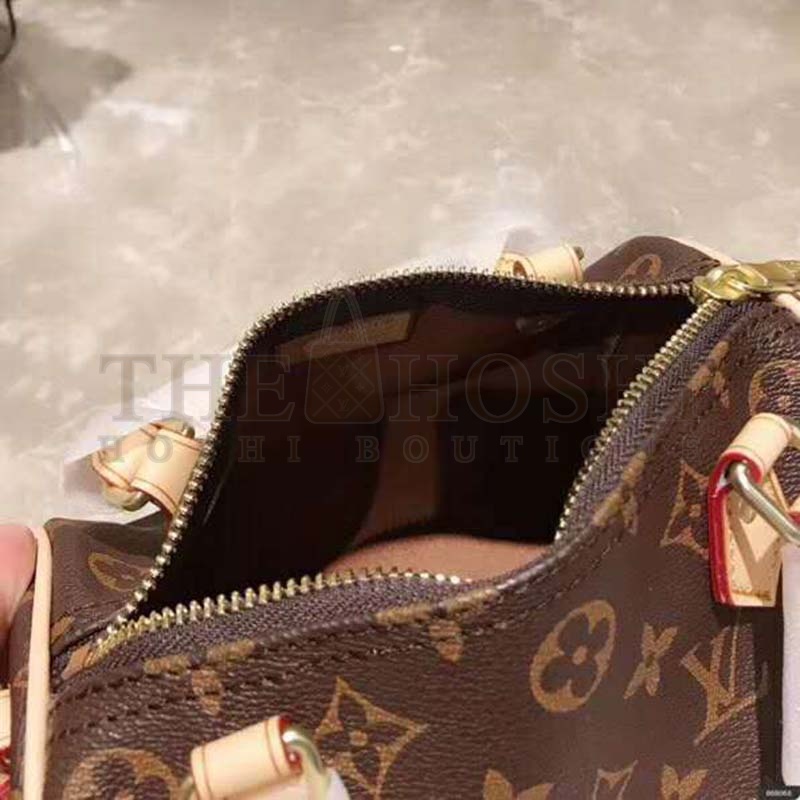 L0vis Vvtt0n LV Women Nano Speedy Bag in Monogram Coated Canvas-Brown top 1:1 qualtiy Master Quality