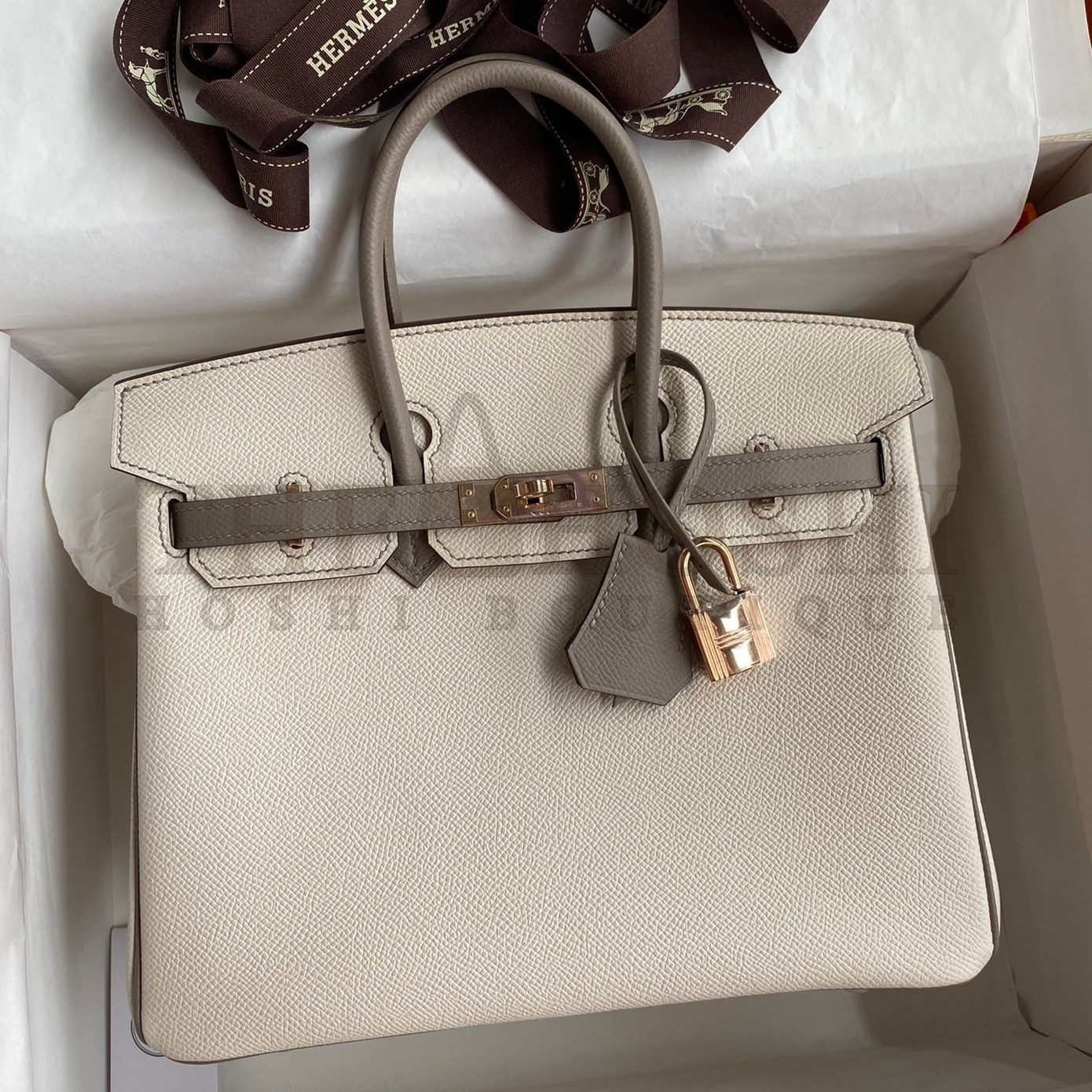 H**me5 HSS Birkin 25 Bicolor Bag in Craie and Gris Asphalt Epsom Calfskin Master Quality