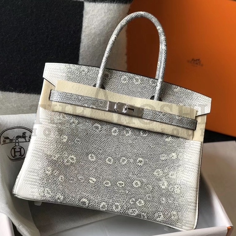 H**me5 Birkin 30cm Bag In Ombre Embossed Natural Lizard Master Quality
