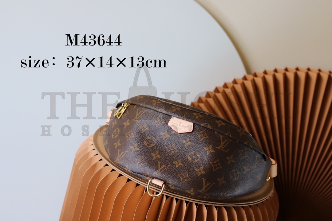 L0vis Vvtt0n LV Women Bumbag in Monogram Canvas-Brown M43644 Master Quality