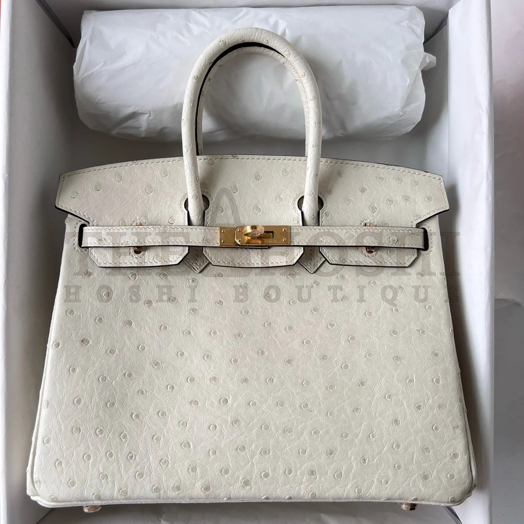 H**me5 Birkin 25 Retourne Handmade Bag In Beton Ostrich Leather Master Quality