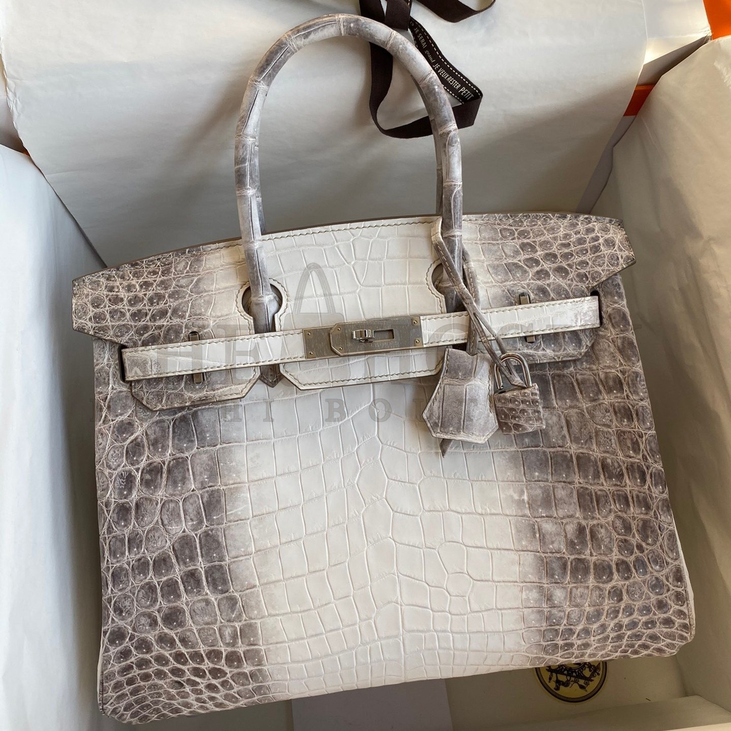 H**me5 Birkin 25 Retourne Bag In Himalaya Niloticus Crocodile Skin Master Quality