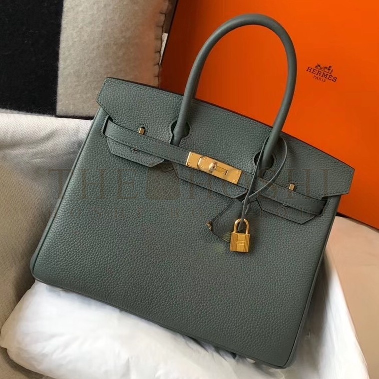 H**me5 Birkin 30 Bag in Vert Amande Clemence Leather with GHW Master Quality