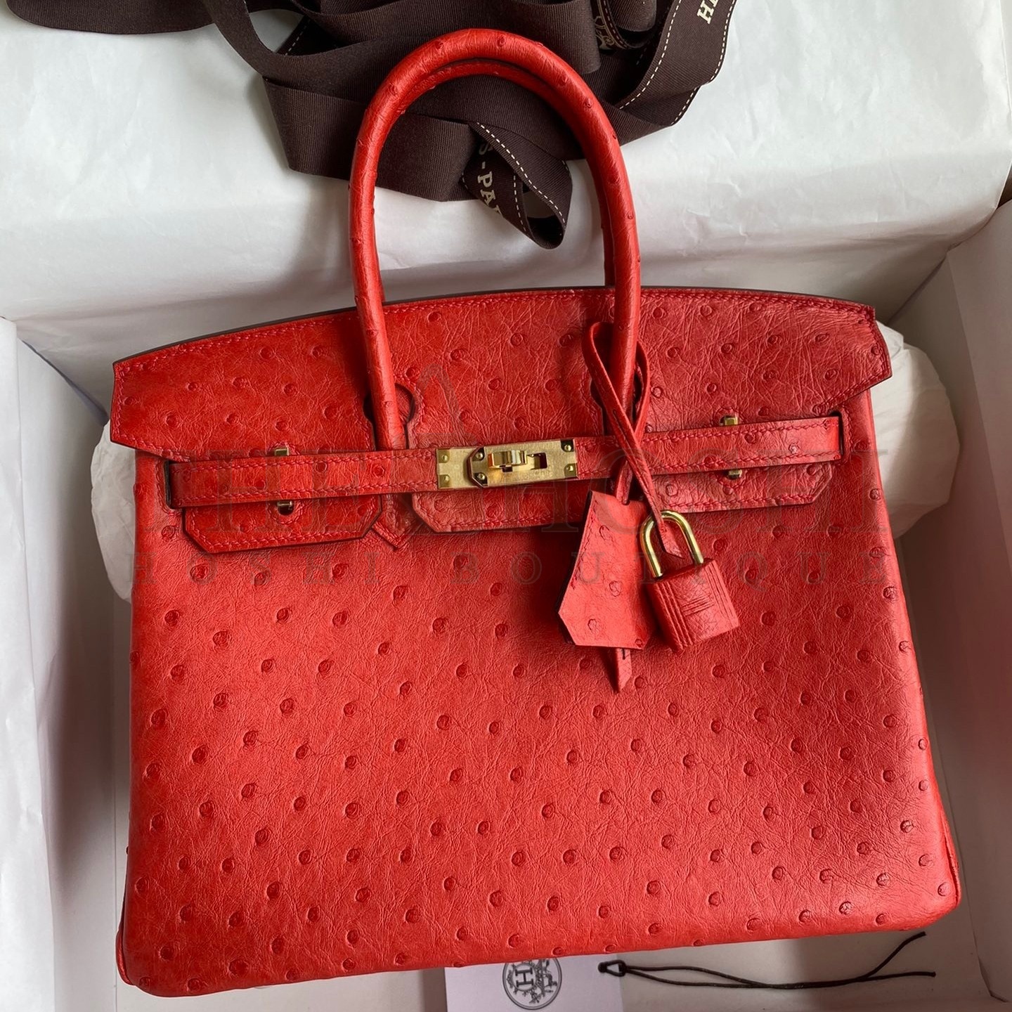 H**me5 Birkin 25 Retourne Handmade Bag In Red Ostrich Leather Master Quality