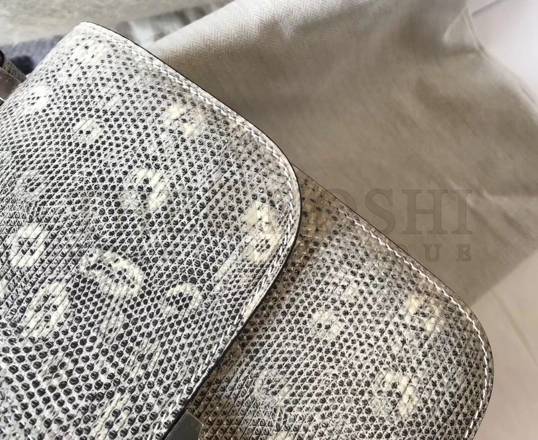 H**me5 Constance 24cm Bag In Ombre Embossed Natural Lizard Master Quality