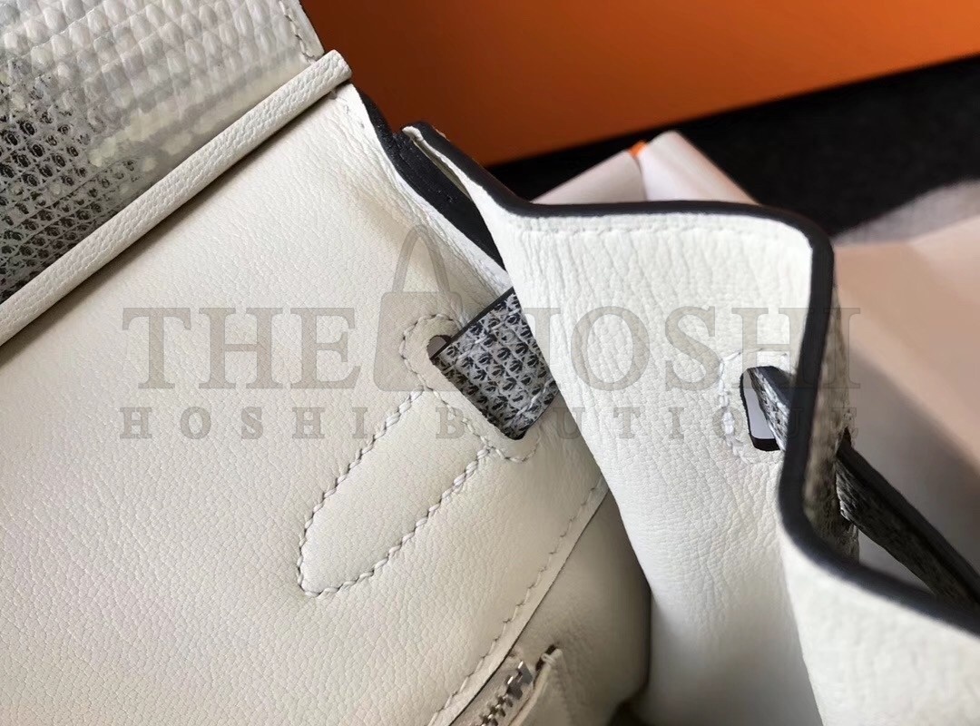 H**me5 Birkin 25cm Bag In Ombre Embossed Natural Lizard Master Quality