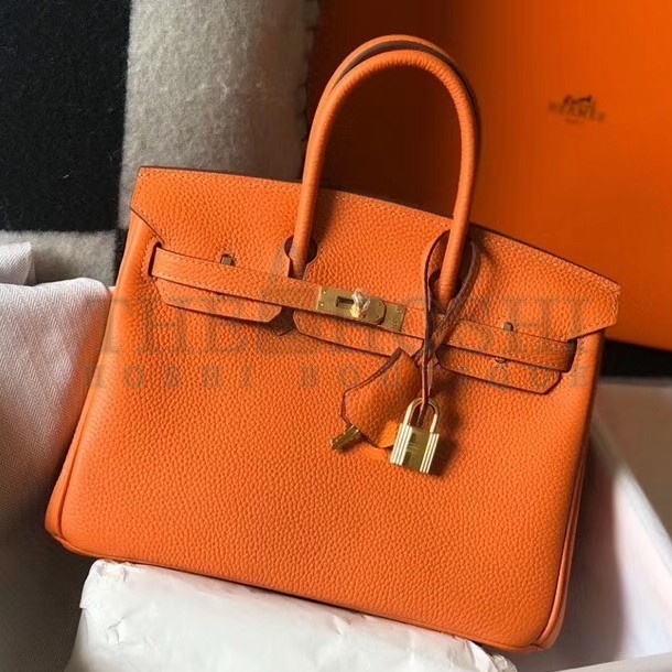 H**me5 Birkin 25 Bag In Orange Clemence Leather with GHW Master Quality