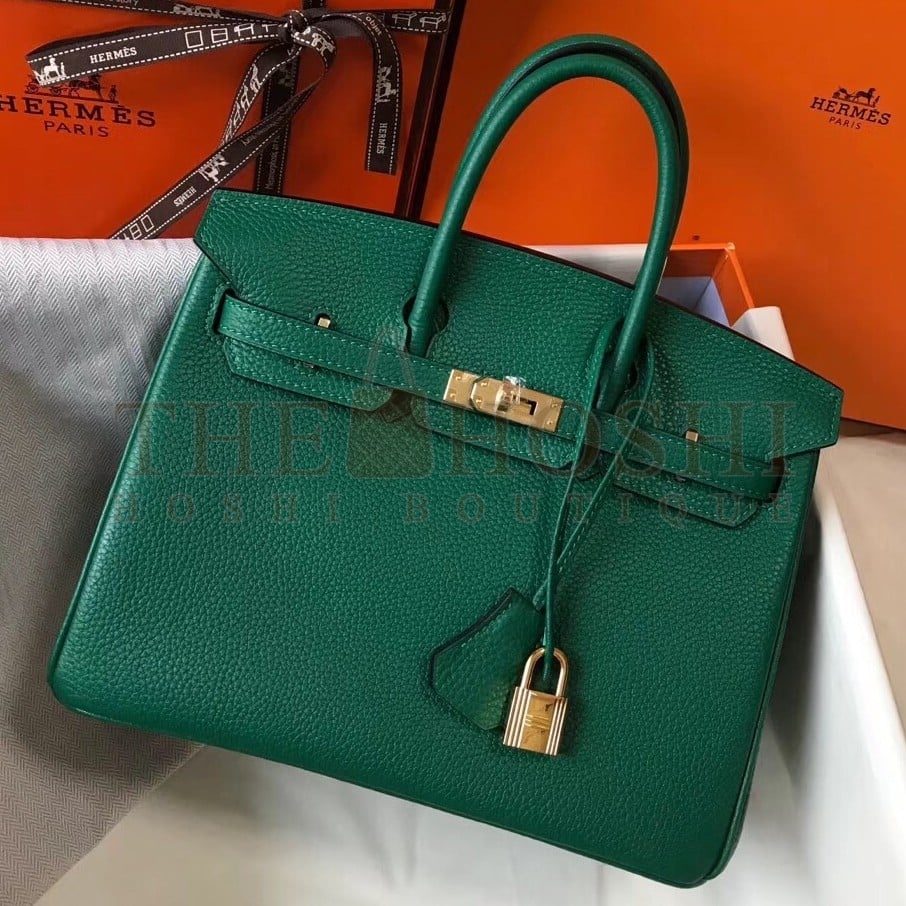 H**me5 Birkin 25 Bag In Vert Vertigo Clemence Leather with GHW Master Quality