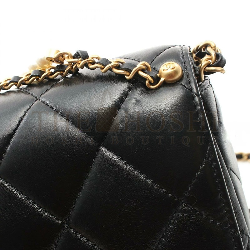 Ch**el MINI FLAP BAG AS5011 (23*16*9cm) Master Quality