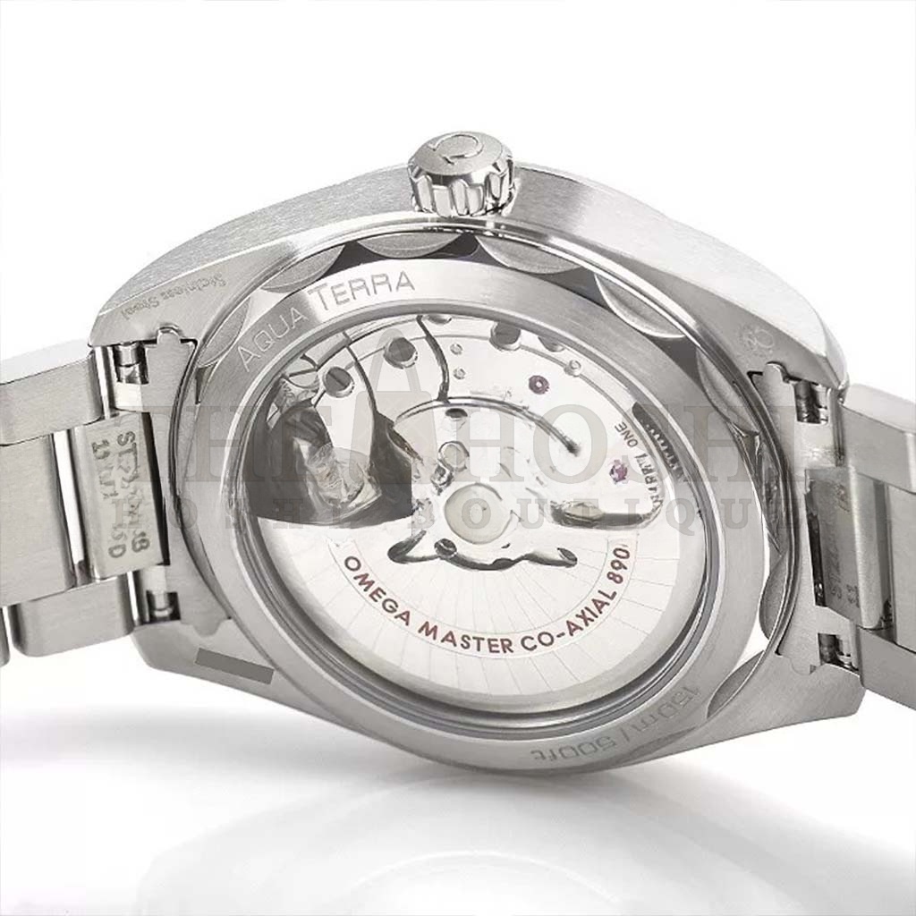 0me*ga SEAMASTER AQUA TERRA 150M 41MM WATCH 220.10.41.21.03.004 Master Quality